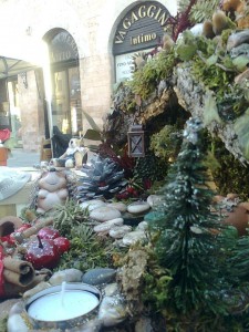 giardino natale3